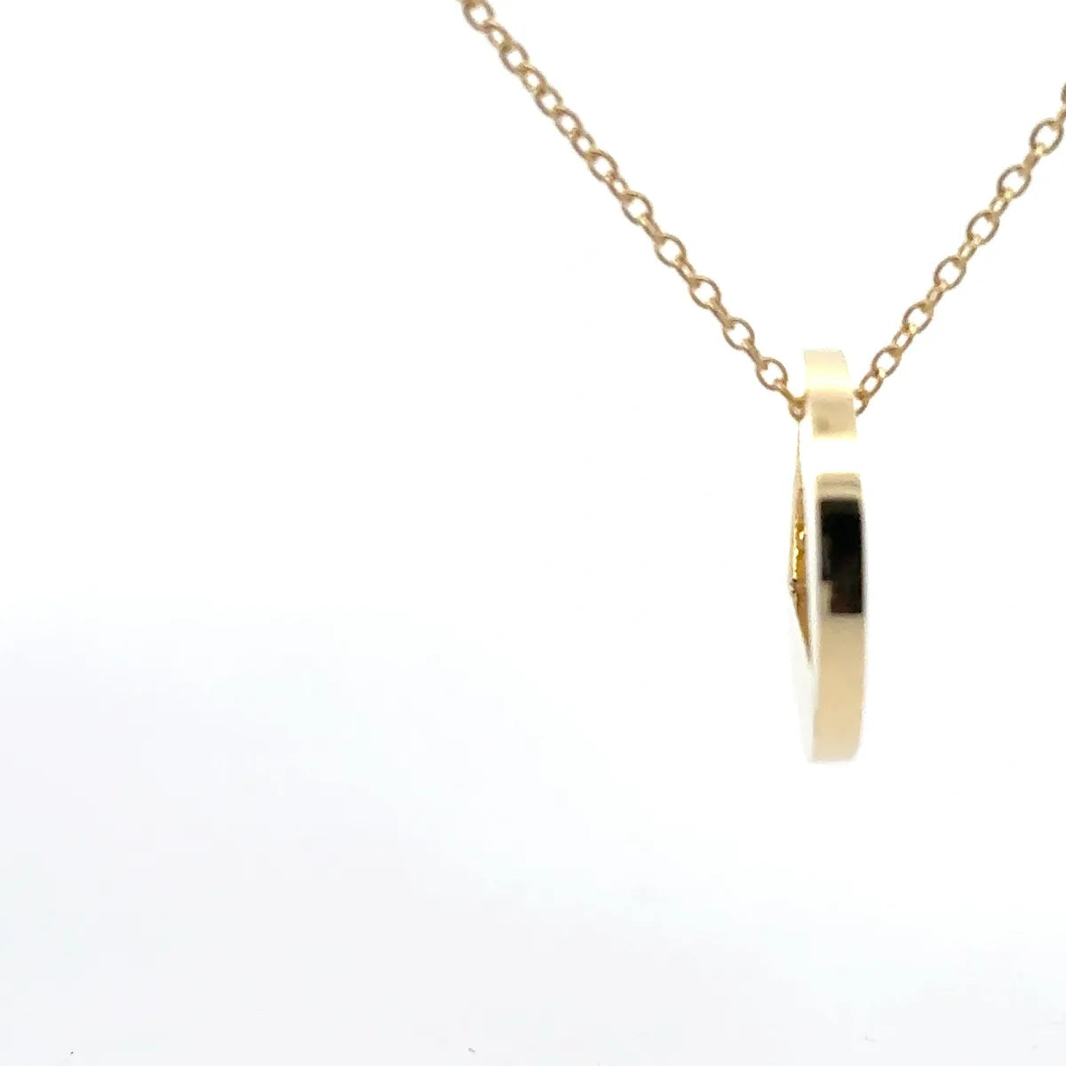Large 14K Gold Medallion